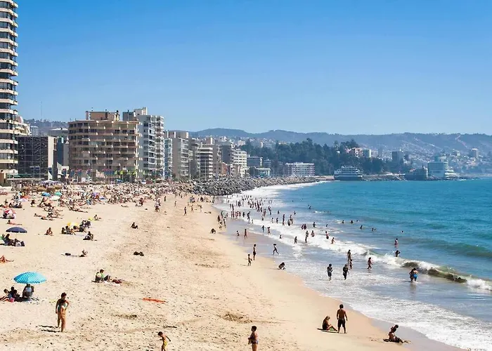 Departamento Vina Del Mar